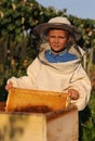 Little boy beekeeper works on an apiary at hive