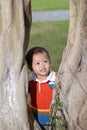 Little boy behind the tree Royalty Free Stock Photo