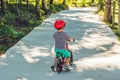 Little boy on a bicycle. Caught in motion, on a driveway motion blurred. Preschool child`s first day on the bike. The joy of move Royalty Free Stock Photo