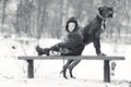 Little boy with big black dog Royalty Free Stock Photo