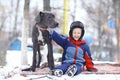 Little boy with big black dog Royalty Free Stock Photo