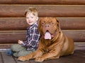 Little boy with big Bordeaux dog Royalty Free Stock Photo