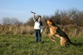 Little boy and big dog (German Shepherd ). Royalty Free Stock Photo