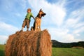 Little boy with big dog on the meadow during summe Royalty Free Stock Photo