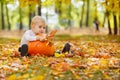 Little boy with big orange pumpkin in hands sitting on the gras Royalty Free Stock Photo