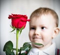 Little boy and the big red rose