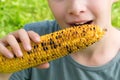 Little boy bites a fried yellow ear of corn sitting on green grass, close-up Royalty Free Stock Photo