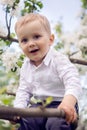 Little boy blond in a white shirt and blue pants sitting on flowered tree