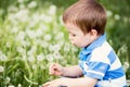 Little boy, blowing dandelion Royalty Free Stock Photo