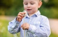 Little boy blowing dandelion. Sunny summer Royalty Free Stock Photo