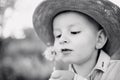 Little boy blowing dandelion. Sunny summer Royalty Free Stock Photo