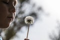 Little boy blowing on dandelions Royalty Free Stock Photo