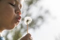 Little boy blowing on dandelions Royalty Free Stock Photo