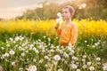 Little boy blowing on dandelions in spring near yellow rapeseed, dressed yellow sweatshirt, warm evening light Royalty Free Stock Photo