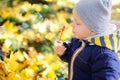 Little boy blowing soap bubbles in autumn park Royalty Free Stock Photo