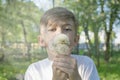 A little boy blows away a dandelion Royalty Free Stock Photo