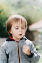 Little boy blows in dandelion on sunlight Royalty Free Stock Photo