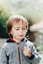 Little boy blows in dandelion on sunlight Royalty Free Stock Photo