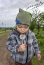 Little boy blows at the dandelion Royalty Free Stock Photo