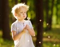 Little boy blows down dandelion fluff. Making a wish