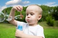 Little boy blows soap bubbles Royalty Free Stock Photo