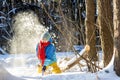 a child in bright clothes throws snow with a shovel, a boy plays in the winter forest Royalty Free Stock Photo