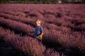 Little boy in blue polo play among the rows of purple lavender in field. Child is gathers flowers