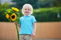 Little boy with bunch of sunflowers outdoors Royalty Free Stock Photo