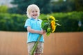 Little boy with bunch of sunflowers outdoors Royalty Free Stock Photo