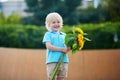 Little boy with bunch of sunflowers outdoors Royalty Free Stock Photo
