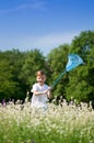 Little boy with butterfly net Royalty Free Stock Photo