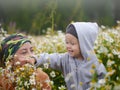 Little boy on the camomile meadow Royalty Free Stock Photo