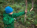 Little boy in a cap and jacket handsaw sawing dry snag