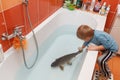 Little boy and carp in the bathtub.