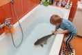 Little boy and carp in the bathtub.