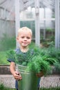 Little boy carry tin bucket with fresh dill from the greenhouse Royalty Free Stock Photo