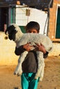 Little boy carrying his little sheep. Royalty Free Stock Photo