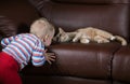 Little boy and cat look Royalty Free Stock Photo