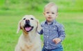 Little child and Golden Retriever dog together on a grass in a park Royalty Free Stock Photo
