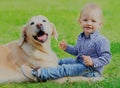 Little child and Golden Retriever dog together on a grass in a park Royalty Free Stock Photo