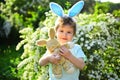 Little boy child in green forest. Happy easter. Childhood. Egg hunt on spring holiday. Rabbit kid with bunny ears. Hare Royalty Free Stock Photo