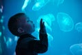 Little boy, child watching jellyfish swim at indoor aquarium. Kid at zoo aquarium.