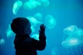 Little boy, child watching jellyfish swim at indoor aquarium. Kid at zoo aquarium.