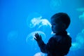 Little boy, child watching jellyfish swim at indoor aquarium. Kid at zoo aquarium.