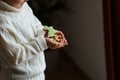 Little boy with chocolate easter eggs and bunny cookie in his hands Royalty Free Stock Photo