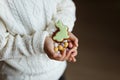 Little boy with chocolate easter eggs and bunny cookie in his hands Royalty Free Stock Photo