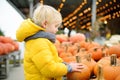 Little boy choose right pumpkin on a farm at autumn. Preschooler child hold a orange pumpkin Royalty Free Stock Photo