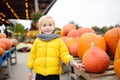 Little boy choose right pumpkin on a farm at autumn. Preschooler child look at orange decorative pumpkin Royalty Free Stock Photo