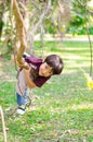 Little boy climb on a tree robe