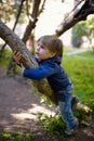 Little boy climb up on tree